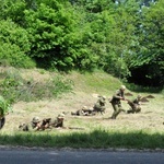 Militarny piknik we Włodzieninie