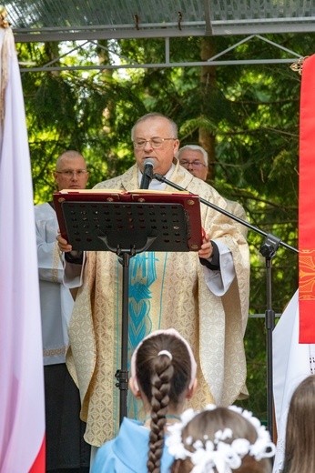 Procesja na Górę Parkową