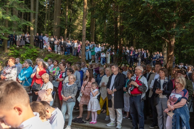 Procesja na Górę Parkową