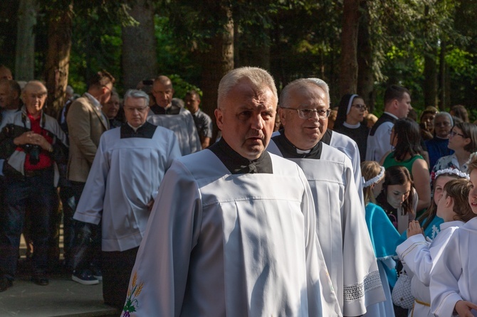 Procesja na Górę Parkową