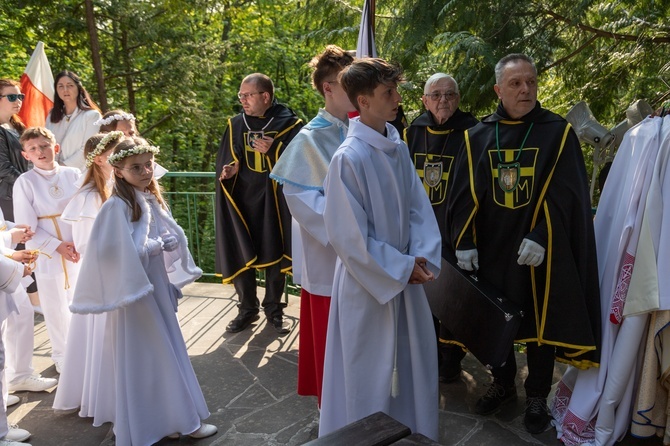 Procesja na Górę Parkową