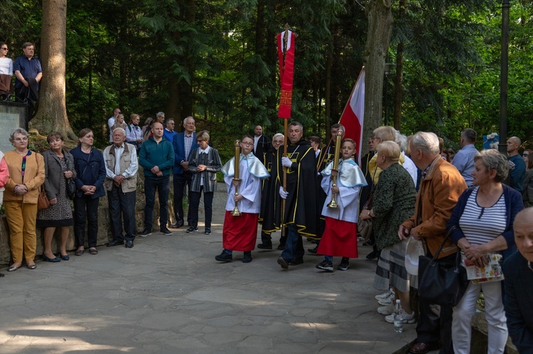 Procesja na Górę Parkową