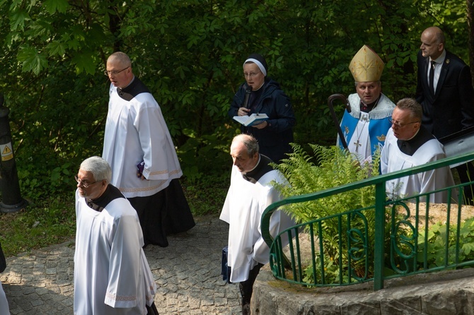 Procesja na Górę Parkową