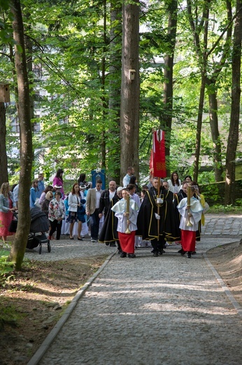 Procesja na Górę Parkową