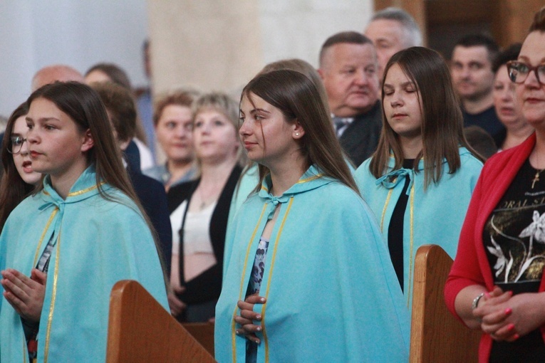 Tablica ks. Pacholika