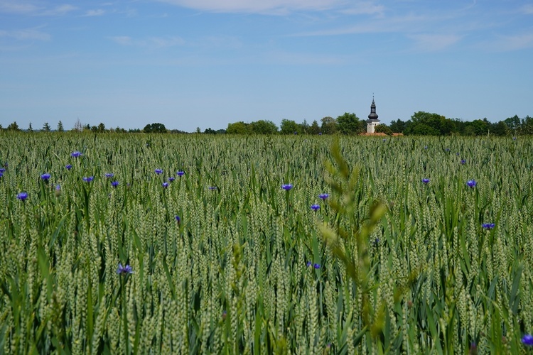 Pielgrzymka do grobu i miejsca męczeństwa bł. s. M. Acutiny