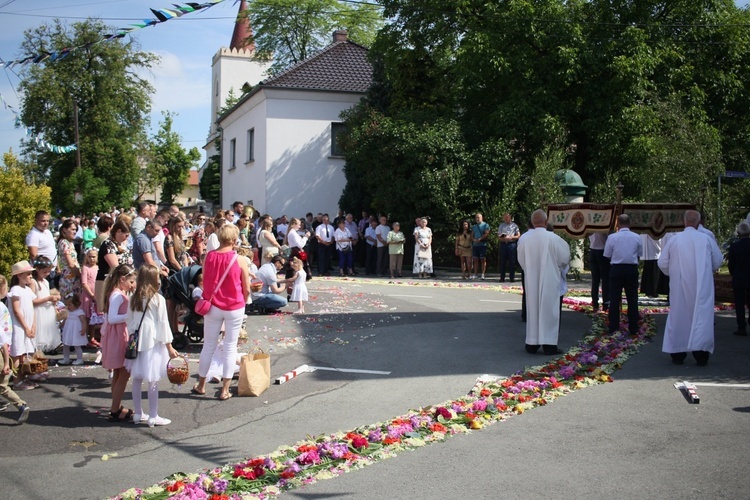 Procesja Bożego Ciała po kwietnych dywanach w Zalesiu Śląskim