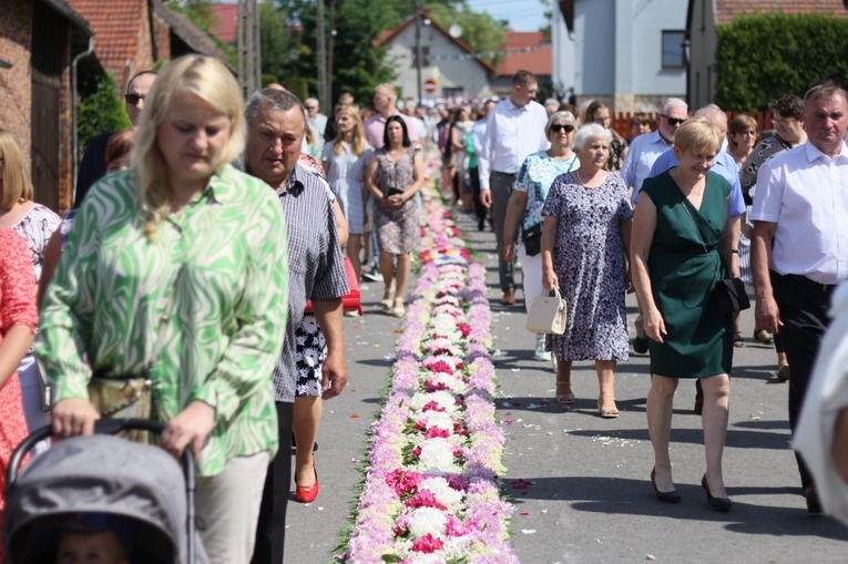 Procesja Bożego Ciała po kwietnych dywanach w Zalesiu Śląskim