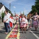 Procesja Bożego Ciała po kwietnych dywanach w Zalesiu Śląskim