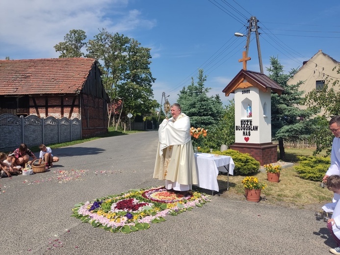 Kwietne dywany w Trzebnicy i Małuszynie