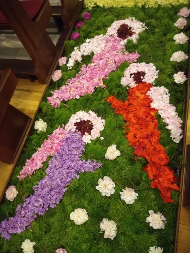 Kwietny dywan w Brzegu Dolnym