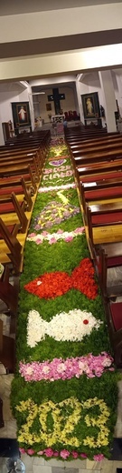 Kwietny dywan w Brzegu Dolnym