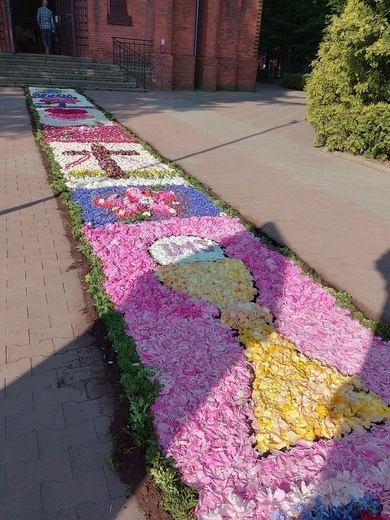 Kwietne dywany w Dobroszycach