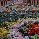 Dywan kwiatowy w parafii pw. św. Jana Chrzciciela w Gołyminie
