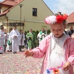 Pilzno. Poświęcenie obrazu bł. Karoliny