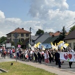 Stalowa Wola. Marsz dla Życia i Rodziny