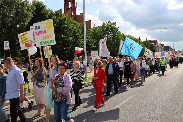 Ostrowiecki marsz dla życia i rodziny