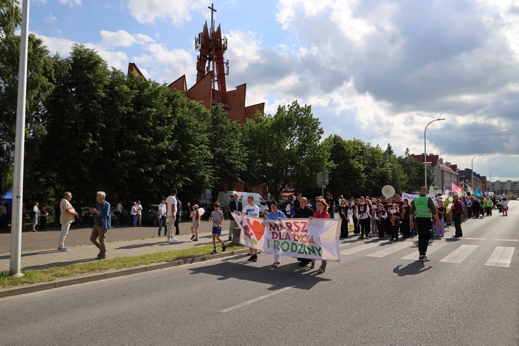 Ostrowiecki marsz dla życia i rodziny