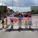 Ostrowiecki marsz dla życia i rodziny