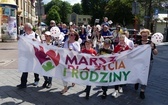 5. Marsz dla Życia i Rodziny w Żywcu - 2023