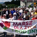 5. Marsz dla Życia i Rodziny w Żywcu - 2023