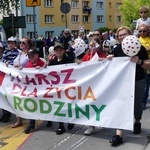 5. Marsz dla Życia i Rodziny w Żywcu - 2023