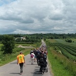 Janów Lubelski. Piesza pielgrzymka na odpust św. Antoniego