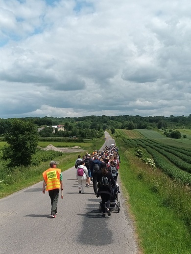 Janów Lubelski. Piesza pielgrzymka na odpust św. Antoniego