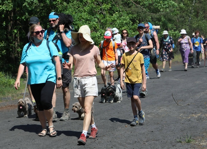 Polskie Camino z osiołkami