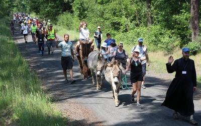 Polskie Camino z osiołkami