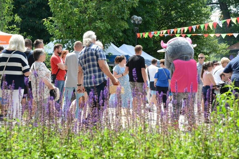 28. Festyn Fundacji Dom