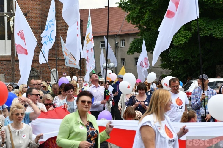 IV Marsz dla Życia i Rodziny w Żarach