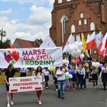 IV Marsz dla Życia i Rodziny w Żarach