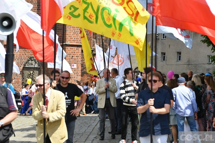 IV Marsz dla Życia i Rodziny w Żarach