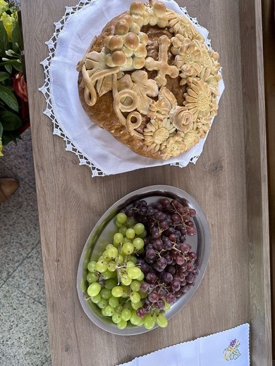 Radomyśl nad Sanem. Diecezjalna Pielgrzymka Rodzin