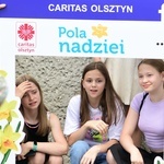 Caritas - XX Pola Nadziei