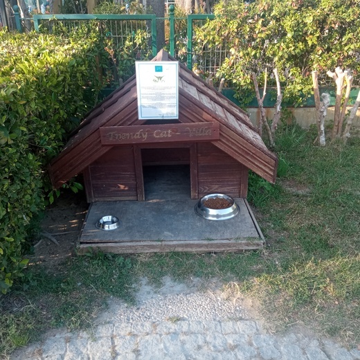 Turcja
