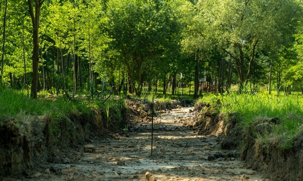 Katowice. Wiosną przyszłego roku będzie gotowy nowy park