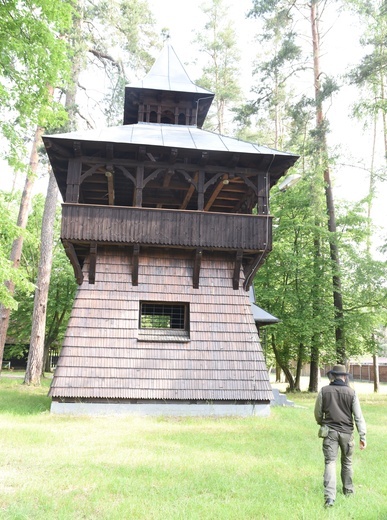 Z tej wieży z Michałem Wieciechem, edukatorem w Puszczy Niepołomickiej, obserwowaliśmy żubry.