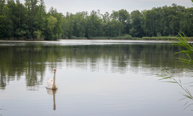 Sosnowiec. Będzie reaktywacja zbiornika Balaton