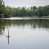 Sosnowiec. Będzie reaktywacja zbiornika Balaton