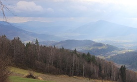 Szarości późnej jesieni