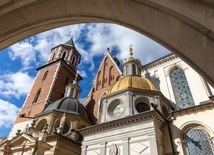 Wawel przygotowuje bilet rodzinny