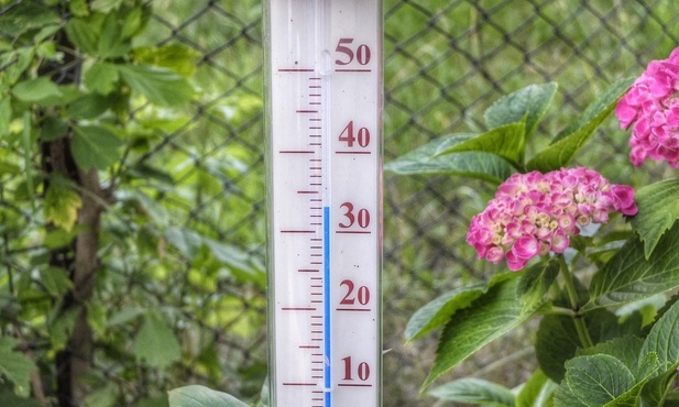 Śląskie. Fala upałów: temperatura może sięgnąć nawet 35 stopni - ostrzega IMGW