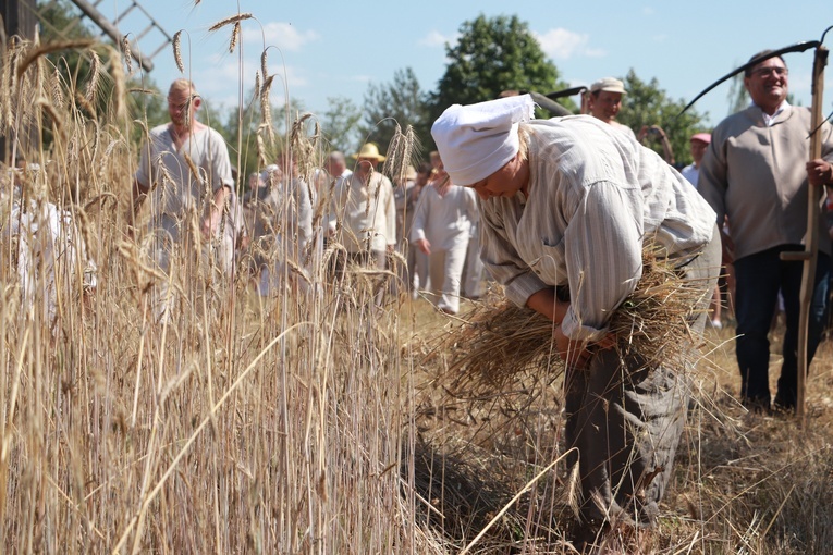 Łowickie Żniwa 2023