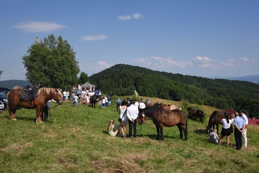 Papież na Cisowym Dziole