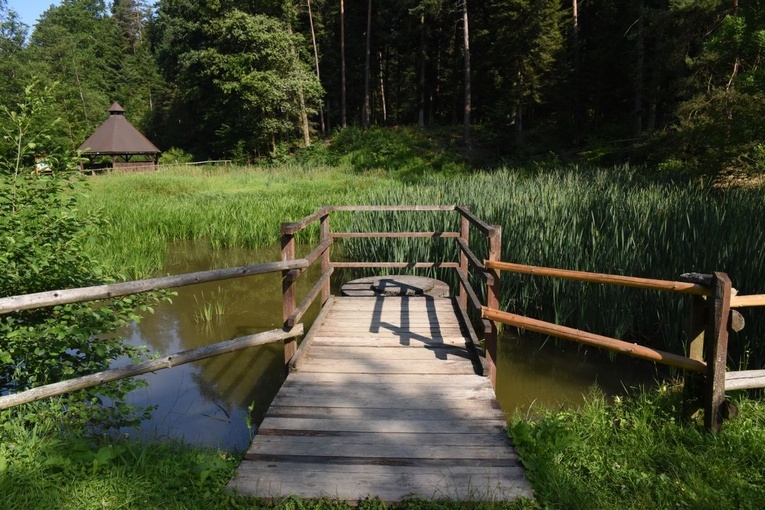 Lasy nadleśnictwa Gromnik