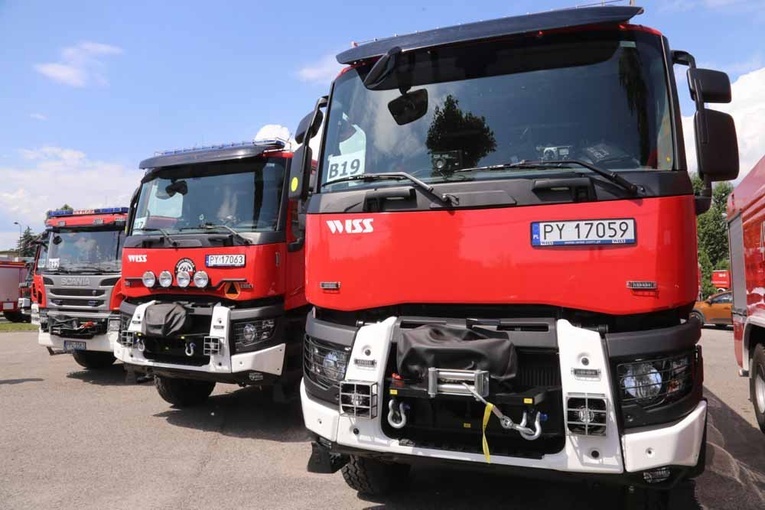 Strażacy na ratunek Grecji