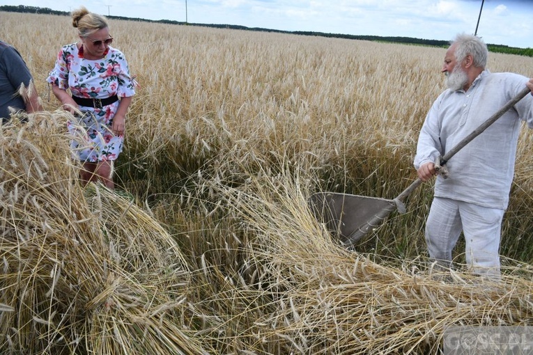 Białków. "Jak to z chlebem było?"