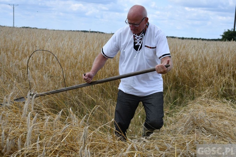 Białków. "Jak to z chlebem było?"